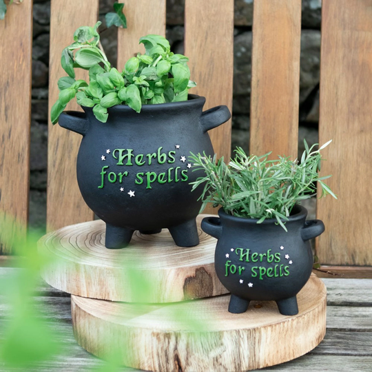 Herbs For Spells Cauldron Plant Pot Small | Window Sill Kitchen Garden Witchy Gifts For Witches Pagan Wiccan Wicca Gothic
