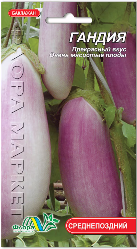 Eggplant Seeds Gandia