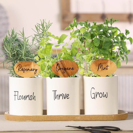 Ceramic Kitchen Herb Planters With Personalised Markers