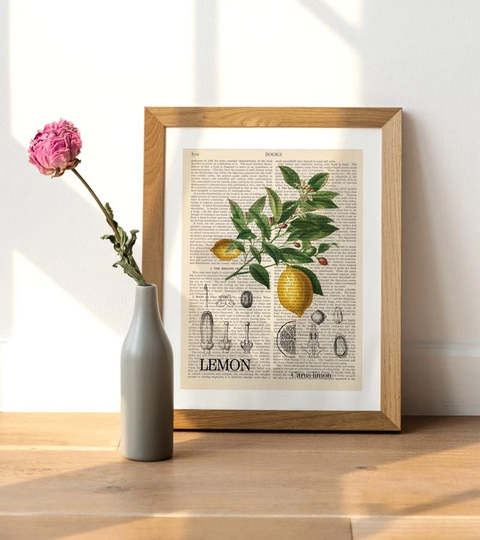 Lemon Print, Citrus Limon, Fruit Illustration, Plant Art, Botanical Wall Kitchen Illustration, Restaurant Decor