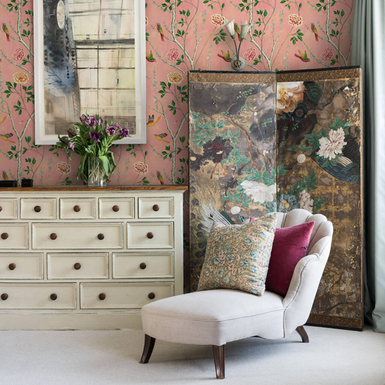 Wild Rosa Chinensis Powder Pink Wallpaper