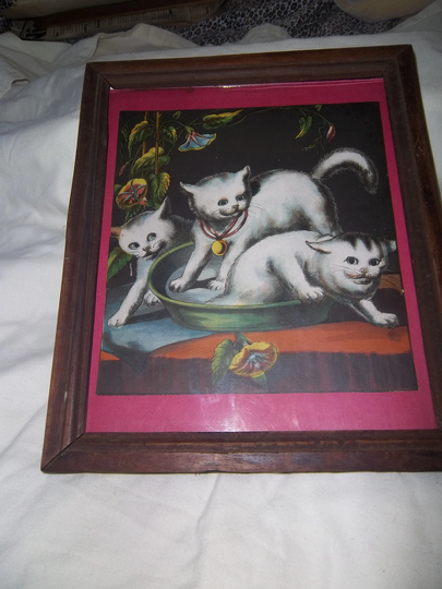 1880 Currier & Ives Chromolithograph Print #1 Cats With Hibiscus Flowers Hand Made Frame
