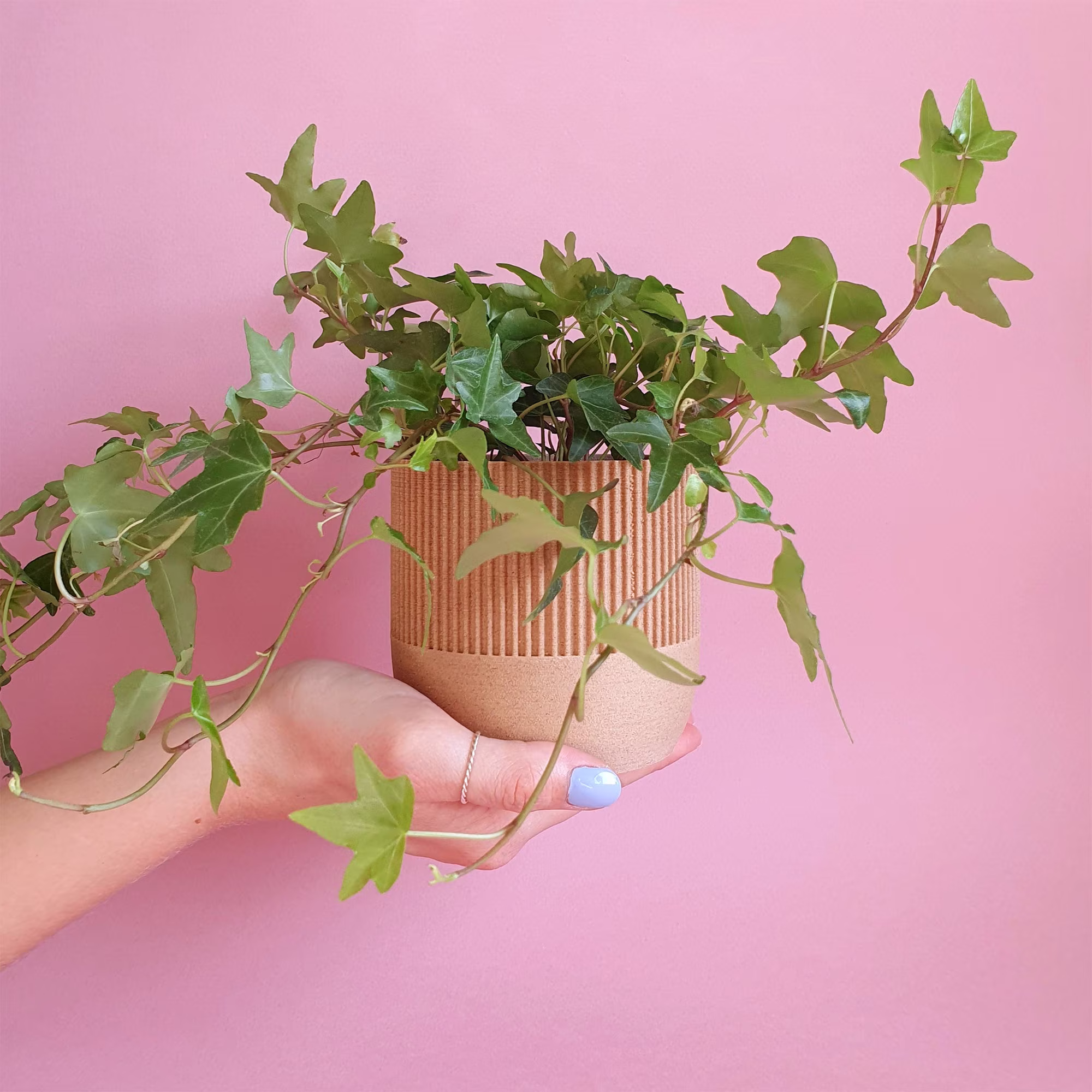 Eco Planter - Twig Planet Friendly Geometric Plant Pot