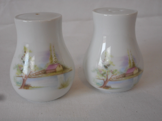 Pair Of Vintage French Limoges Porcelain Decorative Salt & Pepper Pots