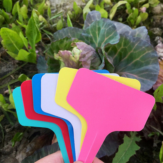100Pcs T-Type T-Tag Thick Waterproof Multicolored Plastic Plant Labels for Garden Plants (6 x 10cm)