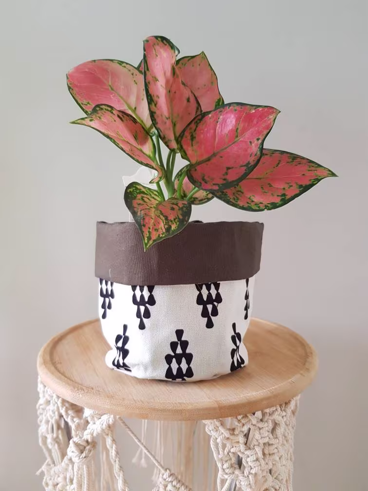 Pot Plant Cover/ Pot Cozy/ Fabric Patterned/Printed/ Reverasable/ Machine Washable/ Potsofloveboutique/ Potsoflove Tony G