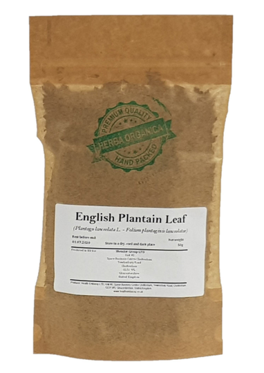 English Plantain Leaf - Plantago Lanceolata # Herba Organica