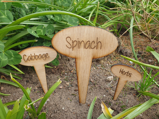 Oval Garden Vegetable Seed Herb Custom Signs Markers Tags Marker Sign Personalised Gift Gardening Plot Allotment Veggie Large Greenhouse