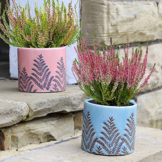Botanical Fern Ceramic Plant Pots