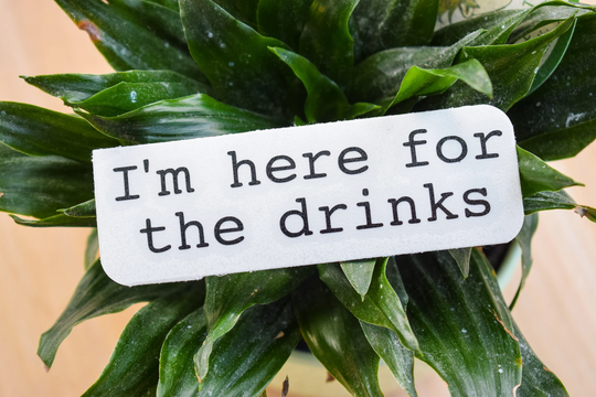 I'm Here For The Drinks Planter Decal Only | Punny Plant Puns Customize Your Own Planter Funny