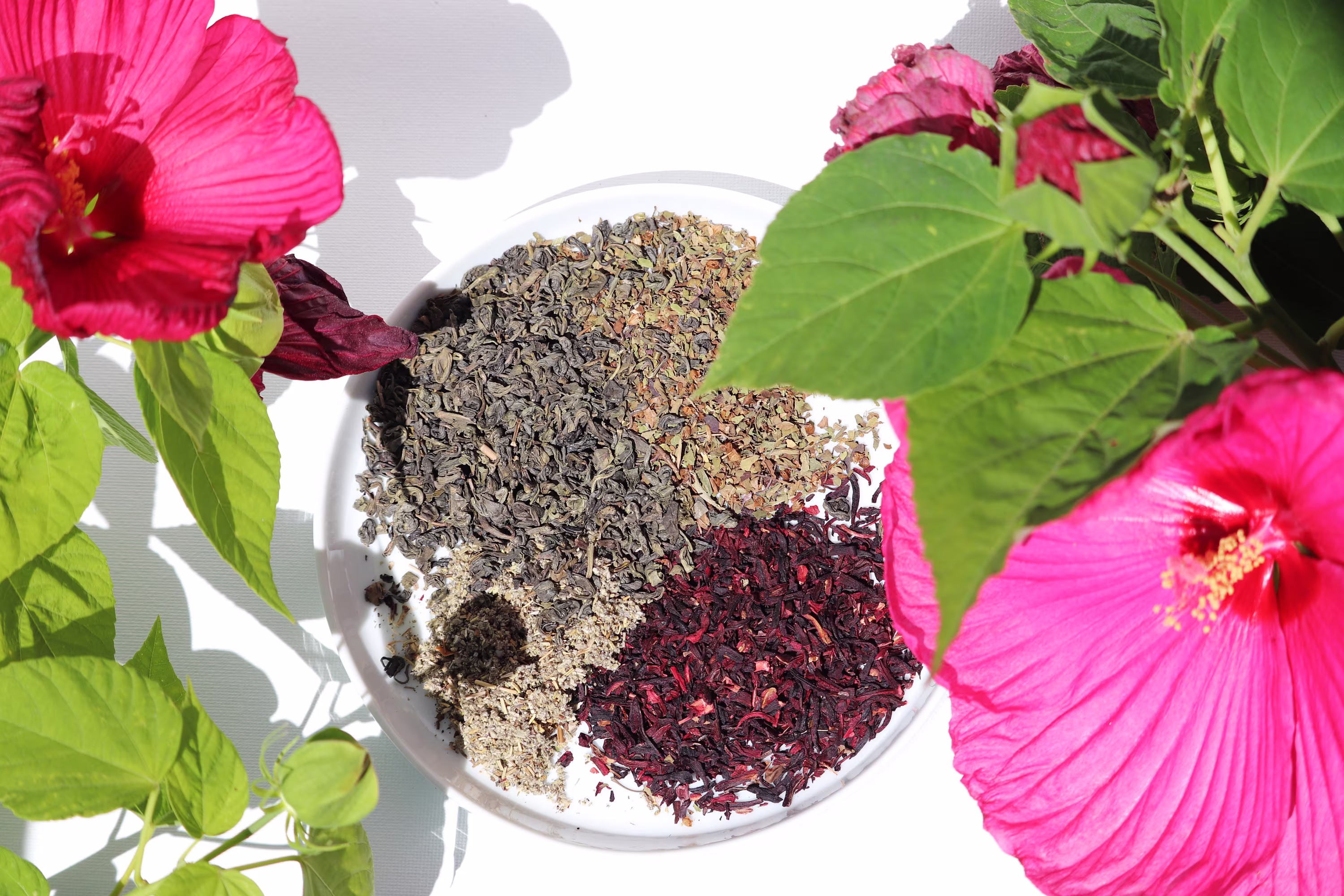 Refresh - Hibiscus Sage & Green Tea Blend