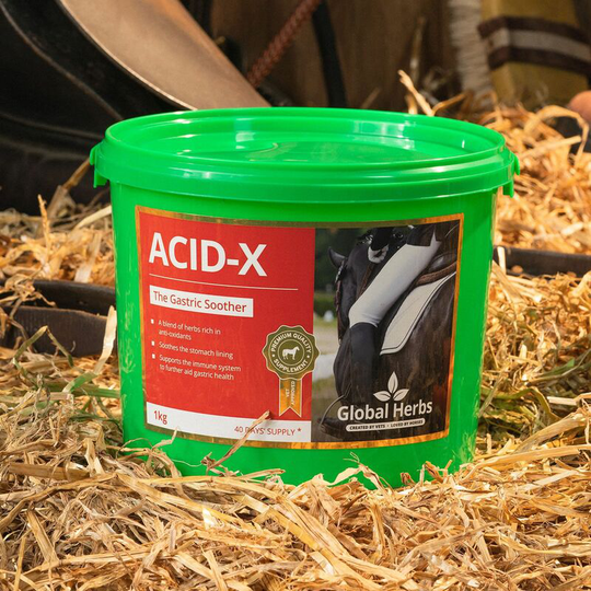 Global Herbs - Acid-X - 1 Kg - ACID-X1KG