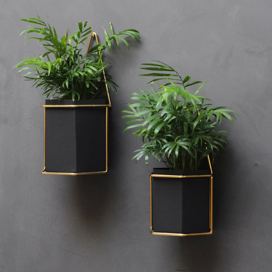 Set Of Wall Planters
