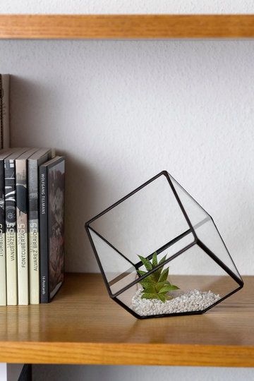 Terrarium, Cube Flower Pot, Candle Holder, Wedding Centerpiece