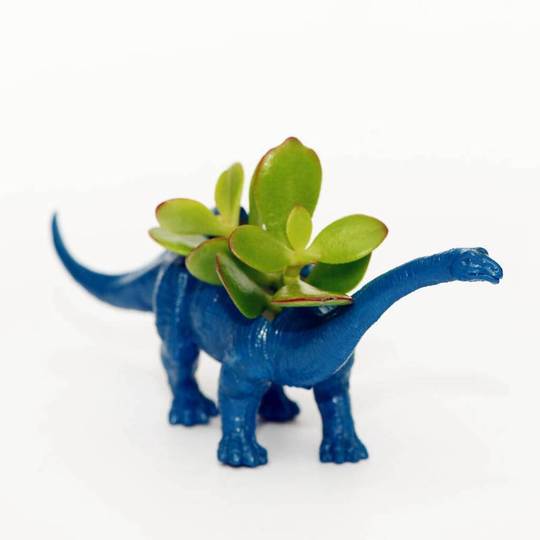 Dinosaur Planter With A Plant Christmas Present