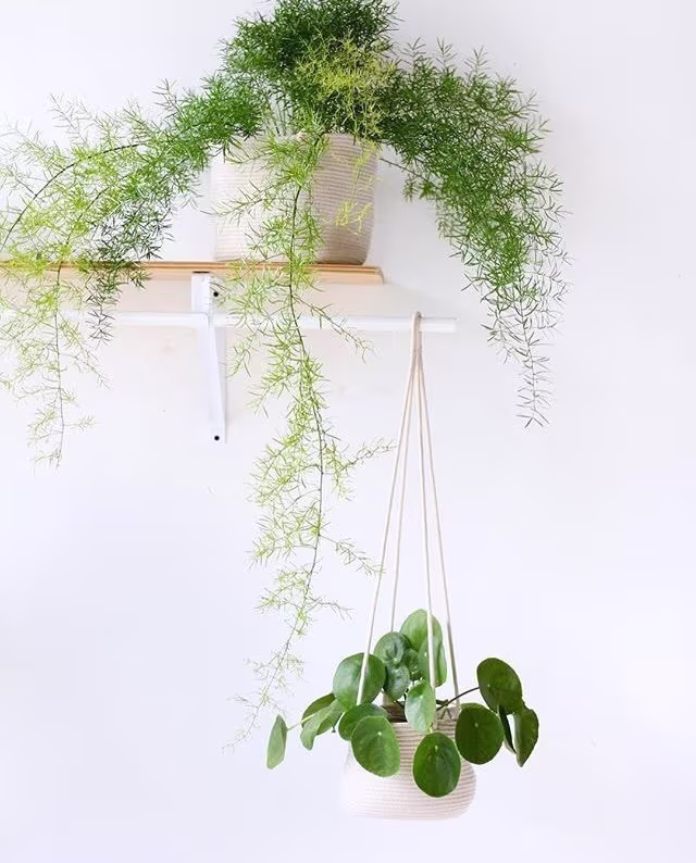 6Inch Hanging Planter Basket, For A Hanging Plant, Indoor Plant Holder, Hanger