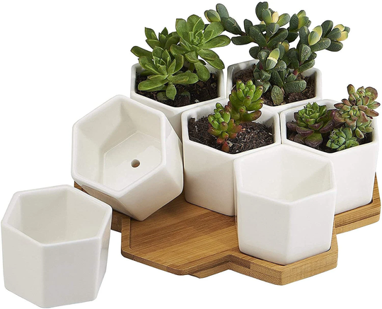 Hexagon Succulent Pots With Bamboo Tray
