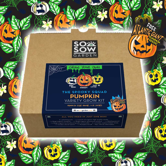 Pumpkin Variety Grow Your Own Kit The Spooky Squad