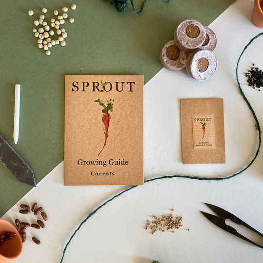 Grow Your Own Carrot Seeds Gift Set