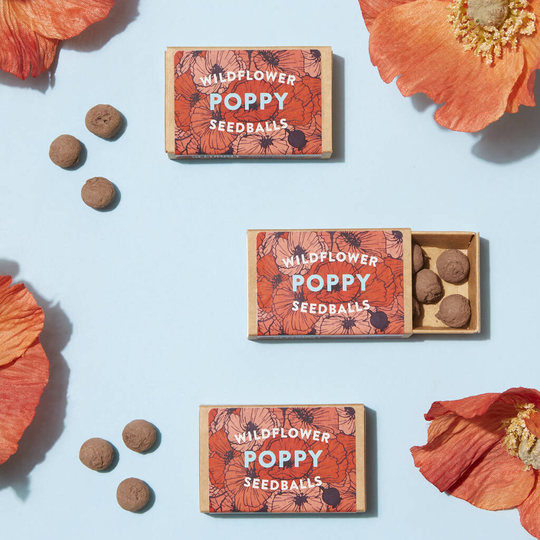 Wildflower Poppy Seed Boxes