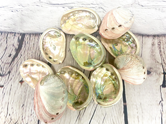 10 Red Abalone Shells, Seashell Incense Burner, Smudge Bowl, Stick Holder, Cleansing Bowl