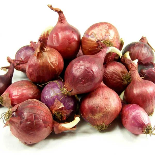 8 Oz. Red Onion Sets Organic Grown | Baron Bulbs - Non-Gmo Grow All Year Plant in The Garden Or Potted A Window