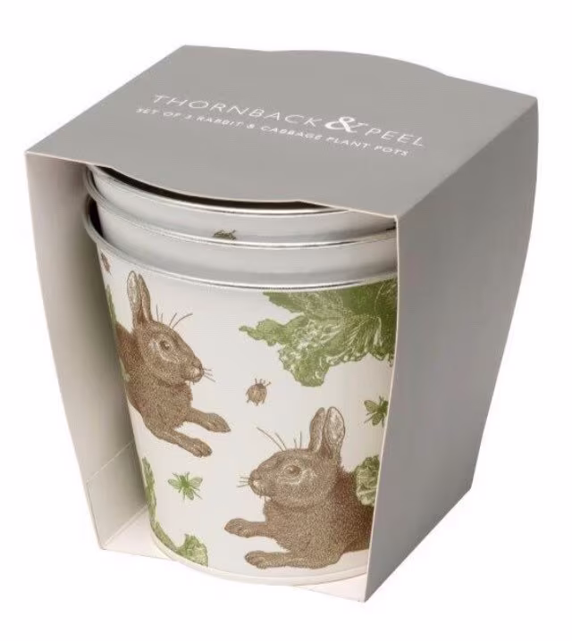 Rabbit & Cabbage Print Set Of 3 Plant/Herb Pots By Thornback & Peel Mothers Day Gift Birthday