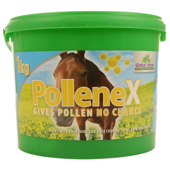 Global Herbs - PolleneX (1kg) (May Vary) - May Vary