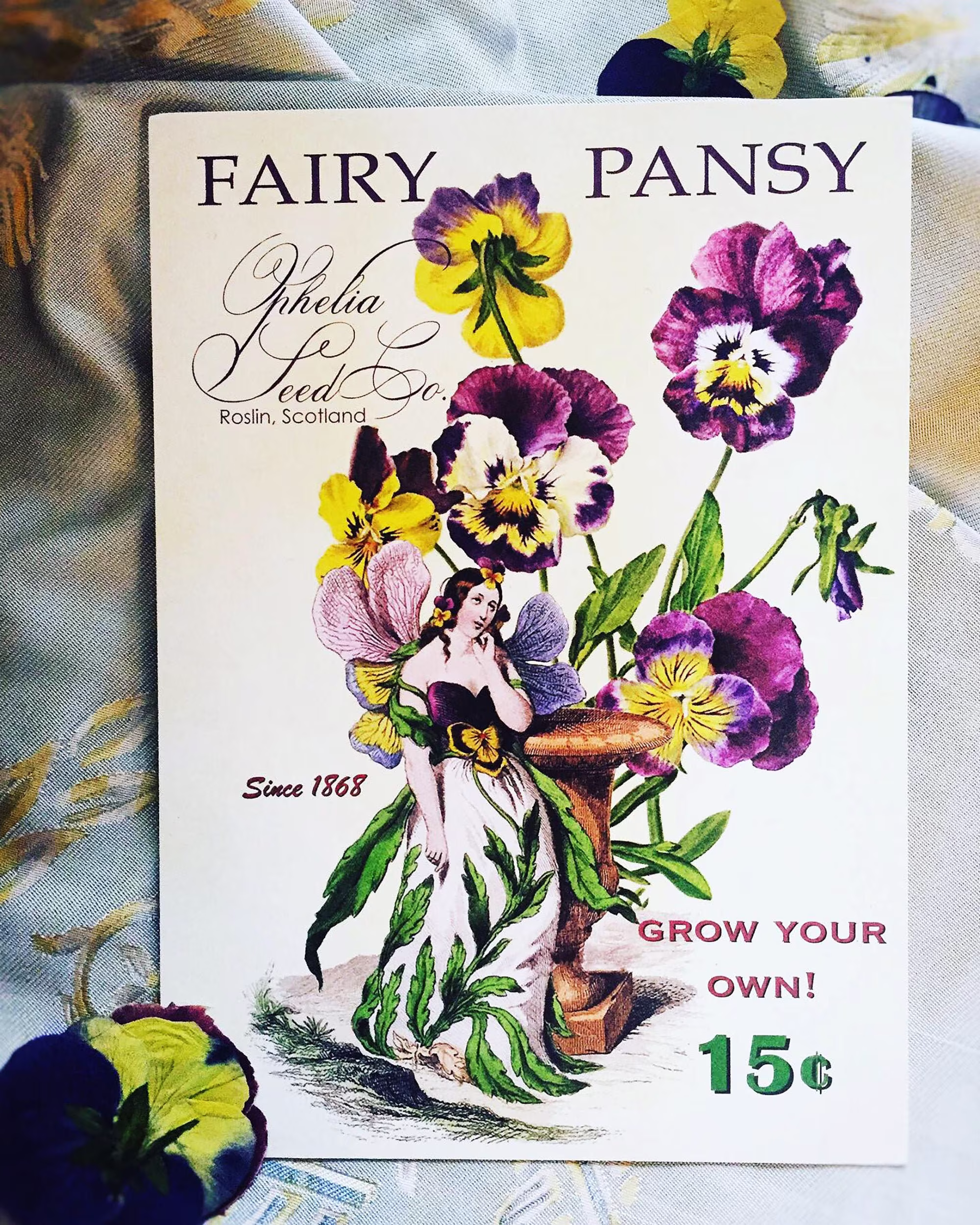 Fairy Pansy, Ophelia Seed Co. 5x7 Keepsake Single Panel Card With V-Flap Envelopes Set Of 8 Cards