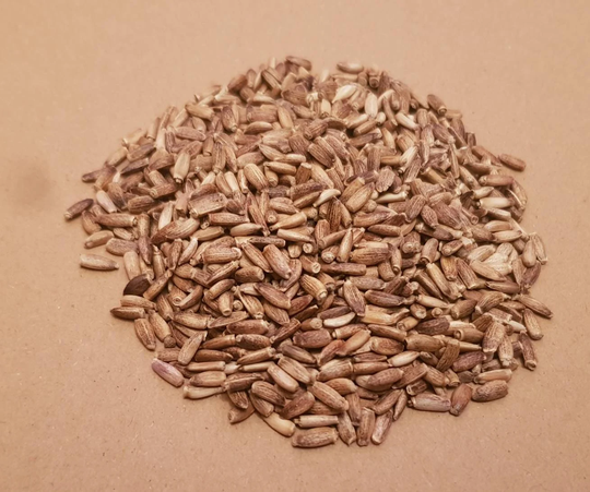 Milk Thistle Seeds Dried Natural Herb 10G 30G 50G