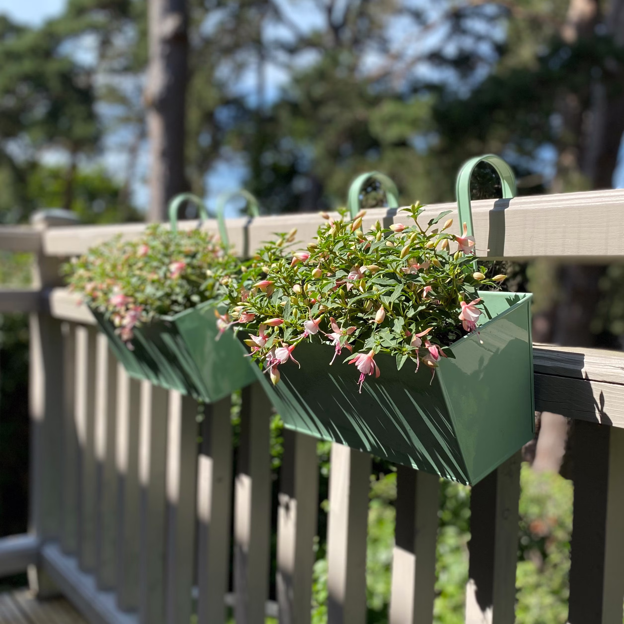 Sage Green Balcony Hanging Planters | Set Of 2