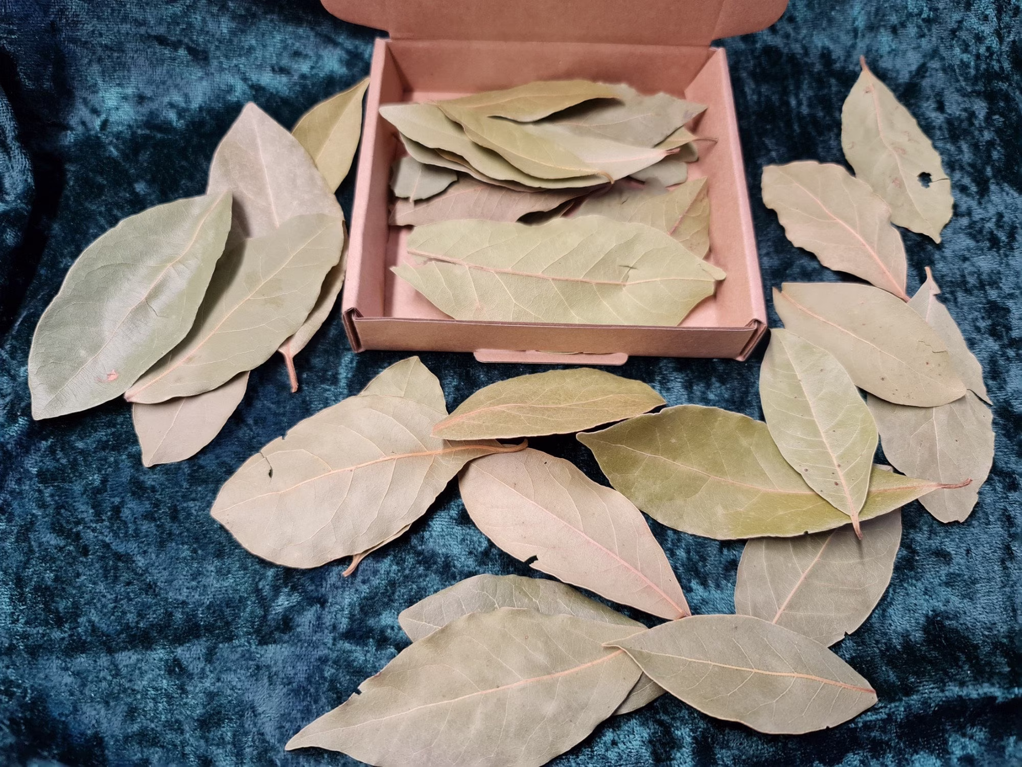 Bay Leaves For Magickal Use, Witchcraft Supplies, Occult Supplies
