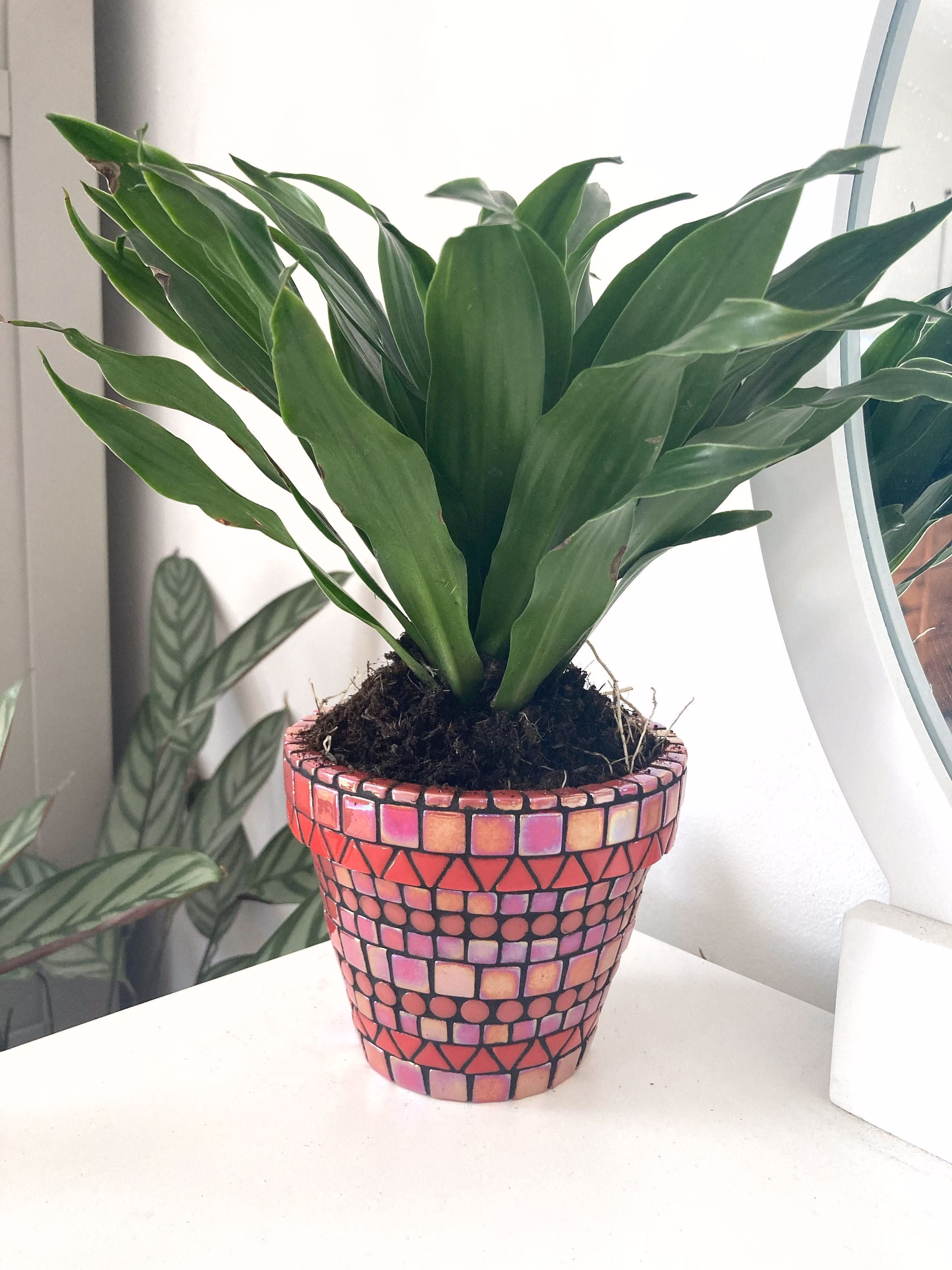 Handmade Red Mosaic Indoor | Outdoor Plant Pot Home Decor Birthday Gift Cactus Planter