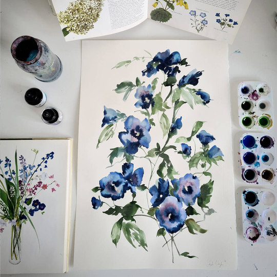 Blue Hibiscus