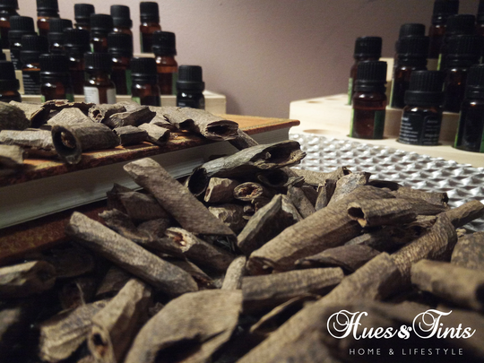 Organic Agar Wood, Small Nailed Plantation Chips