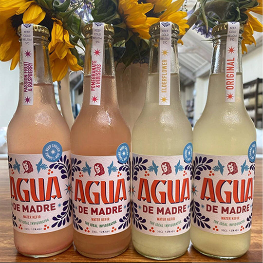 Agua De Madre Party Case