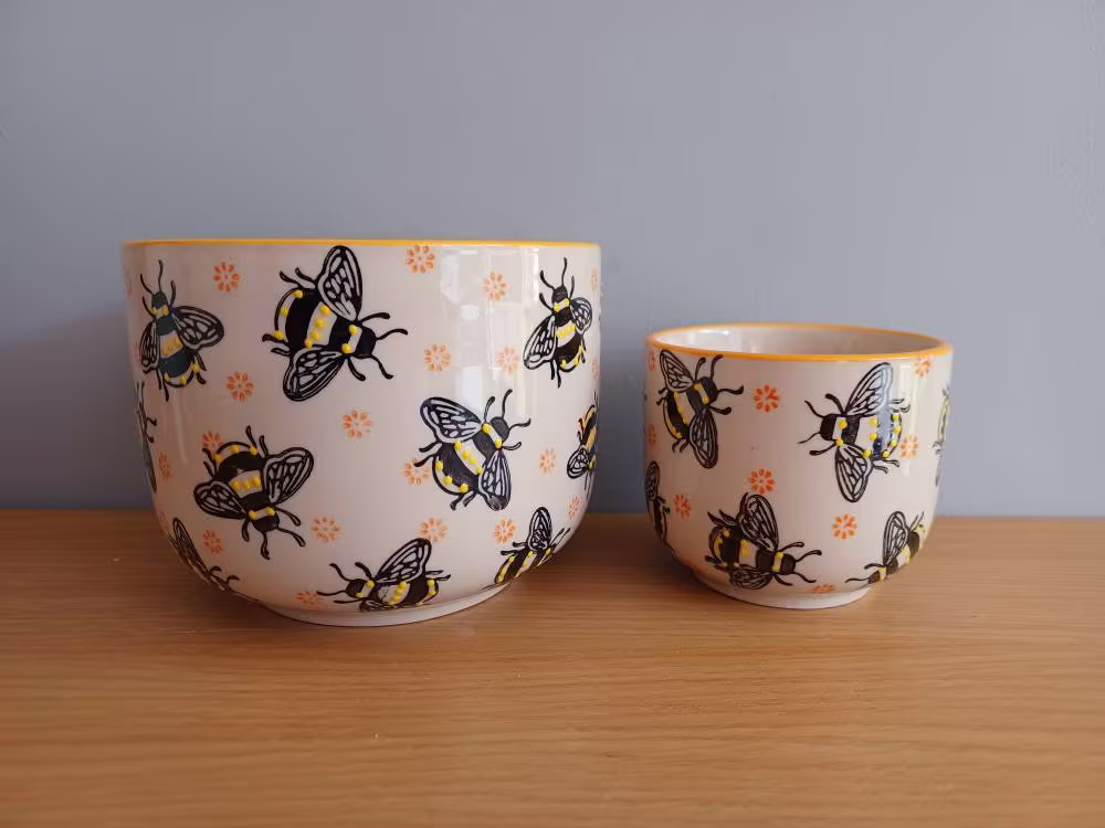 Bee Planters Set Of Two Plant Pot Flower Home Decor Gift Sass & Belle New Free UK Postage