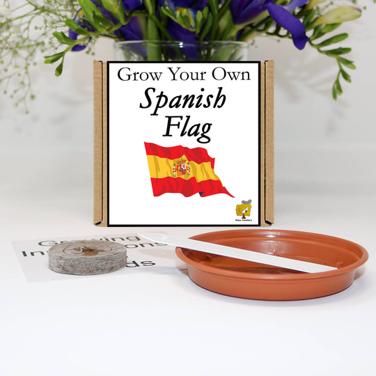 Grow Your Own Spanish Flag Flowers Gift Set