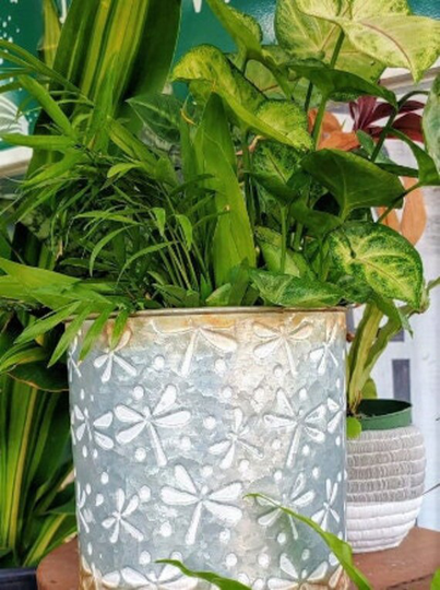 Dragonfly Galvanized Metal Planter With Copper Accent