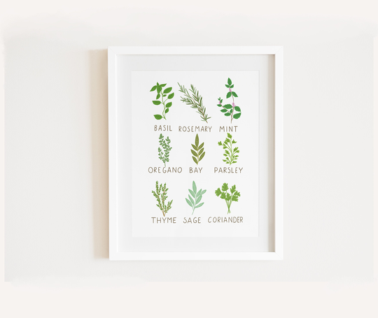 Herbs Kitchen Wall Art, Decor, Herb Print, Botanical, Culinary Illustration, Poster