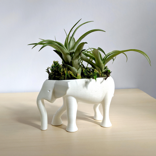 Elephant Planter For Hygge Home Cactus Planter, Air Plant Holder, Succulent Cute Animal Pot Holder