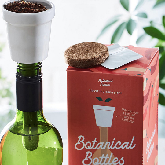 Botanical Chilli Pepper Grow Kit