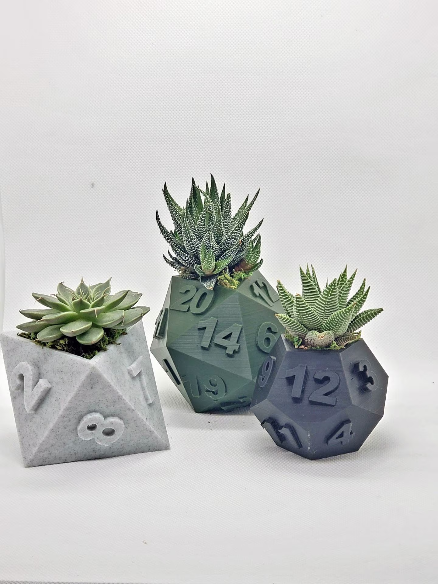 Table Top Rpg Dice Succulent Planter Set - 3D Printed | Plant Pot 20 Sided, 12 8 Sided