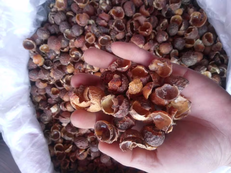 500G Organic Dried Soapberry Shell, Wu Huan Zi Ke