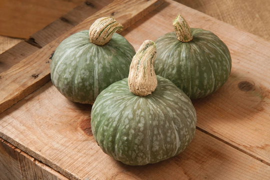 15 Organic Geisha Kabocha Winter Squash Seeds Kürbis Samen Zaad Zaden Zucca Semi Sementi Sementes Siemenet Citrouille Graines Semillas Somen