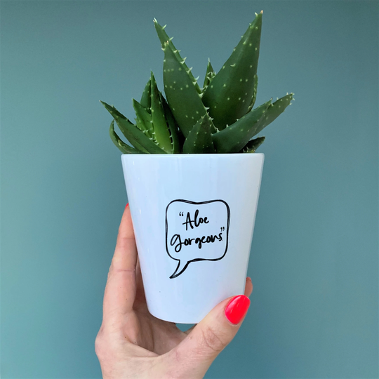 Aloe Gorgeous Ceramic Flower Pot - Decorative Cool Plant Lover Gift Green Fingers Motivational For Her