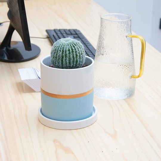 Indoor Blue Ceramic Plants Flower Planter Pot
