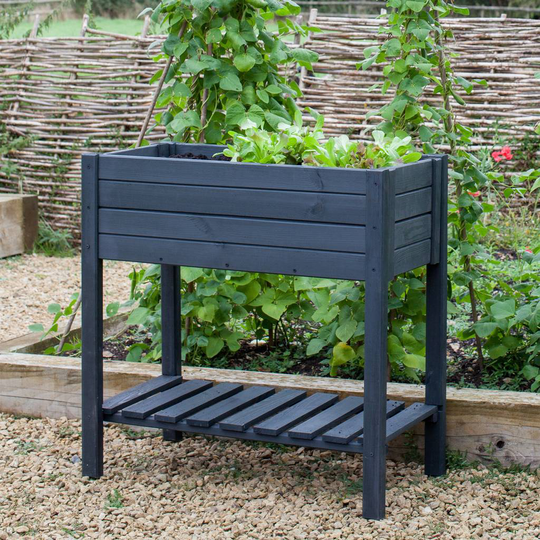 Raised Planter