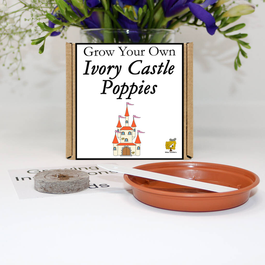 Grow Your Own Ivory Castle Poppy Flowers Gift Set