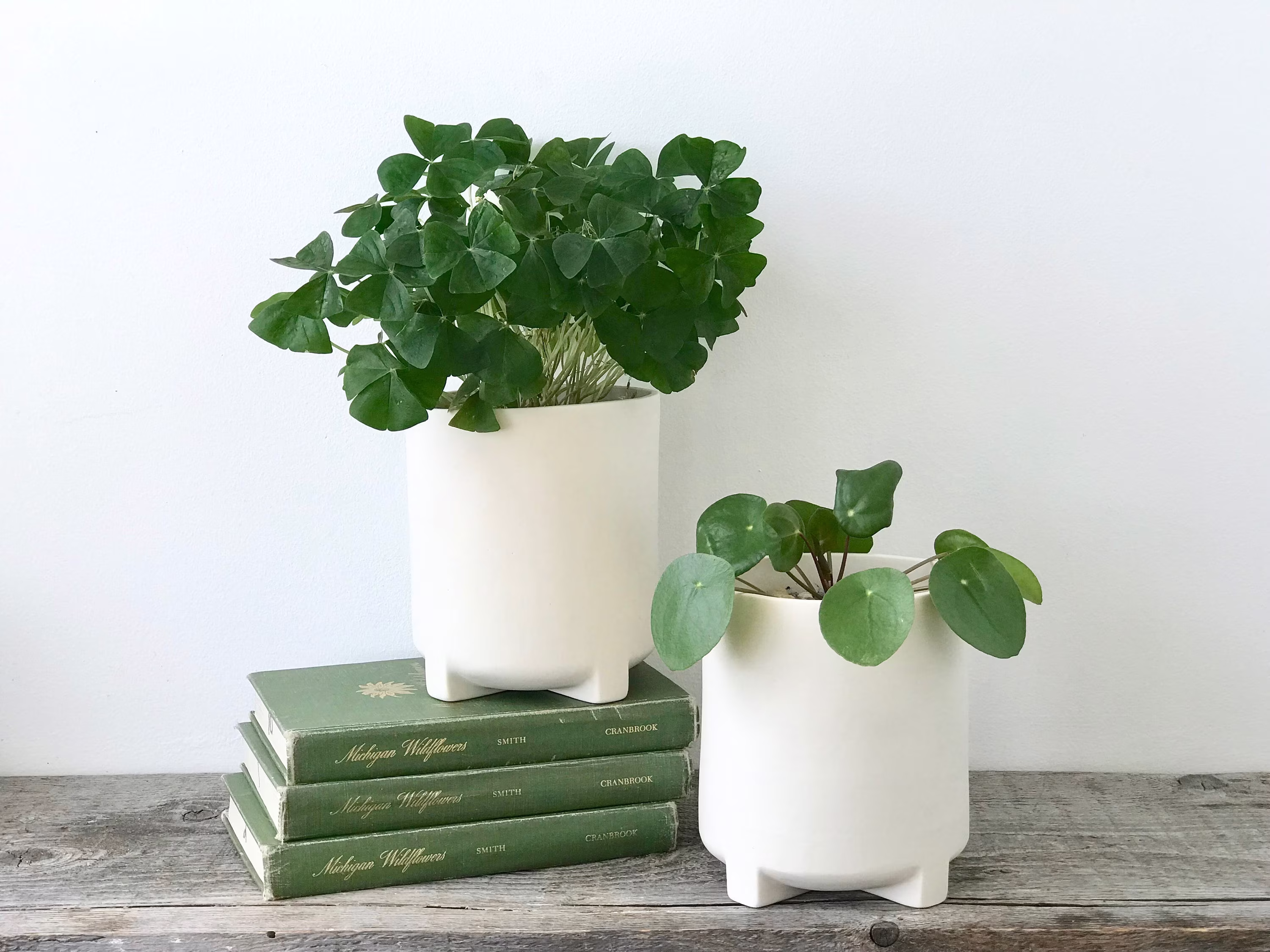 Modern Footed Cylinder Planter, Medium Porcelain Ceramic White Desk Planter